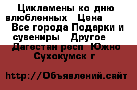 Цикламены ко дню влюбленных › Цена ­ 180 - Все города Подарки и сувениры » Другое   . Дагестан респ.,Южно-Сухокумск г.